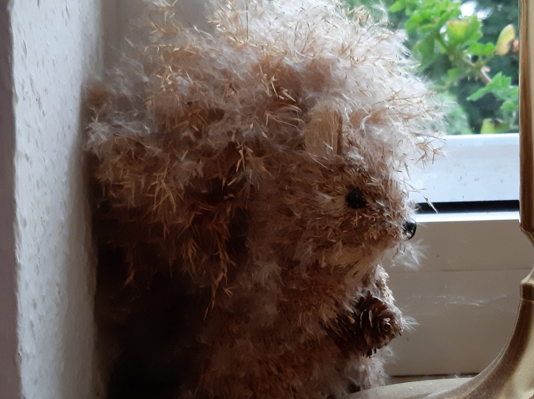 Am Trampe Landhotel主图