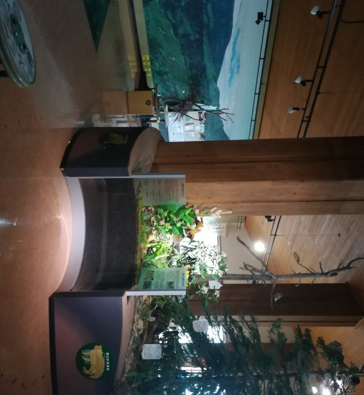 Matsuo Hachimantai Visitor Center-八幡平市必去景点