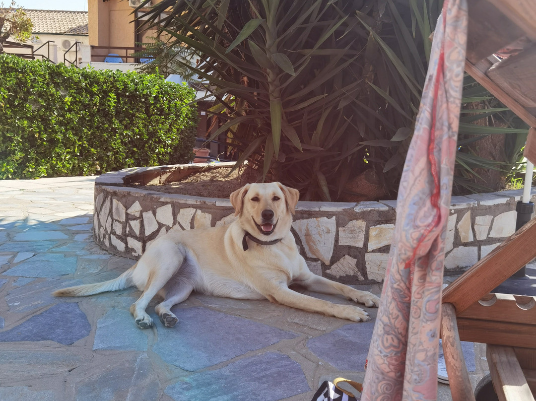 Le Mirage Hotel主图