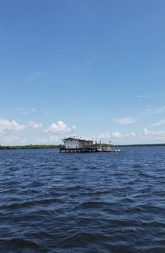 Reel Action Charters LLC-Placida必去景点