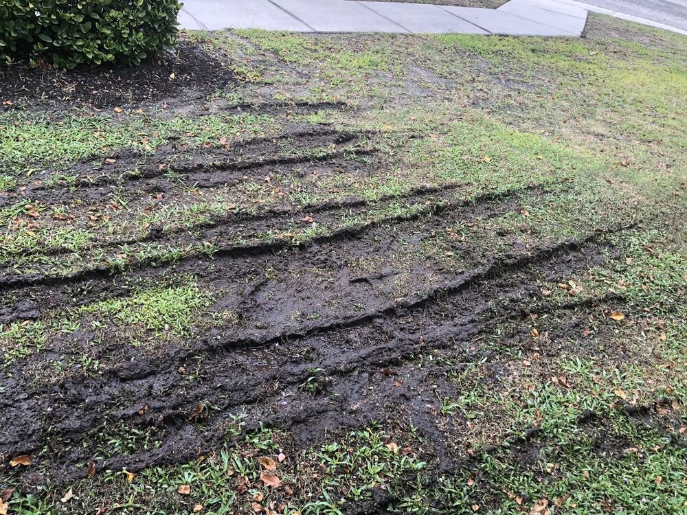 MiraBay Market-Apollo Beach必去景点