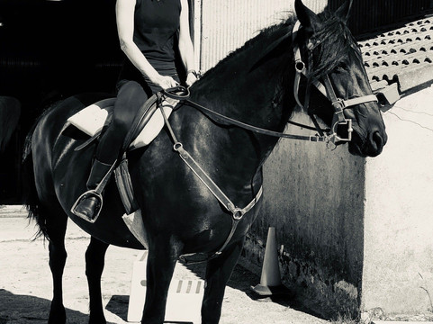 Centre Equestre L'eperon