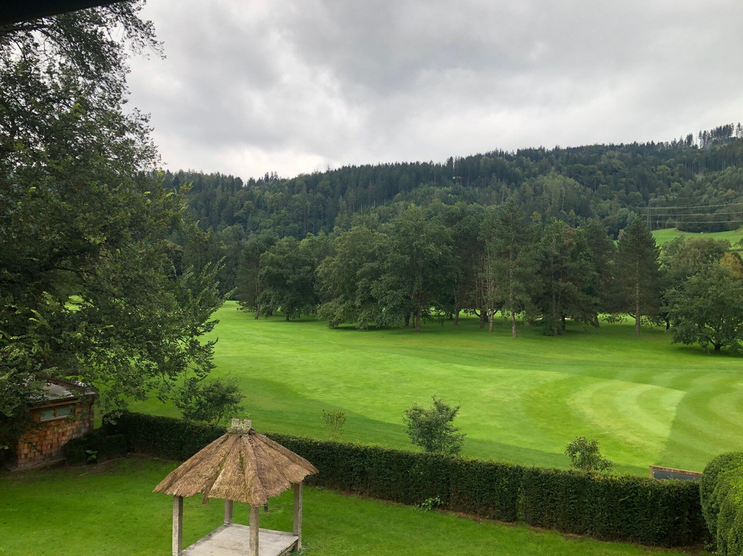 Murhof Hotel & Restaurant主图