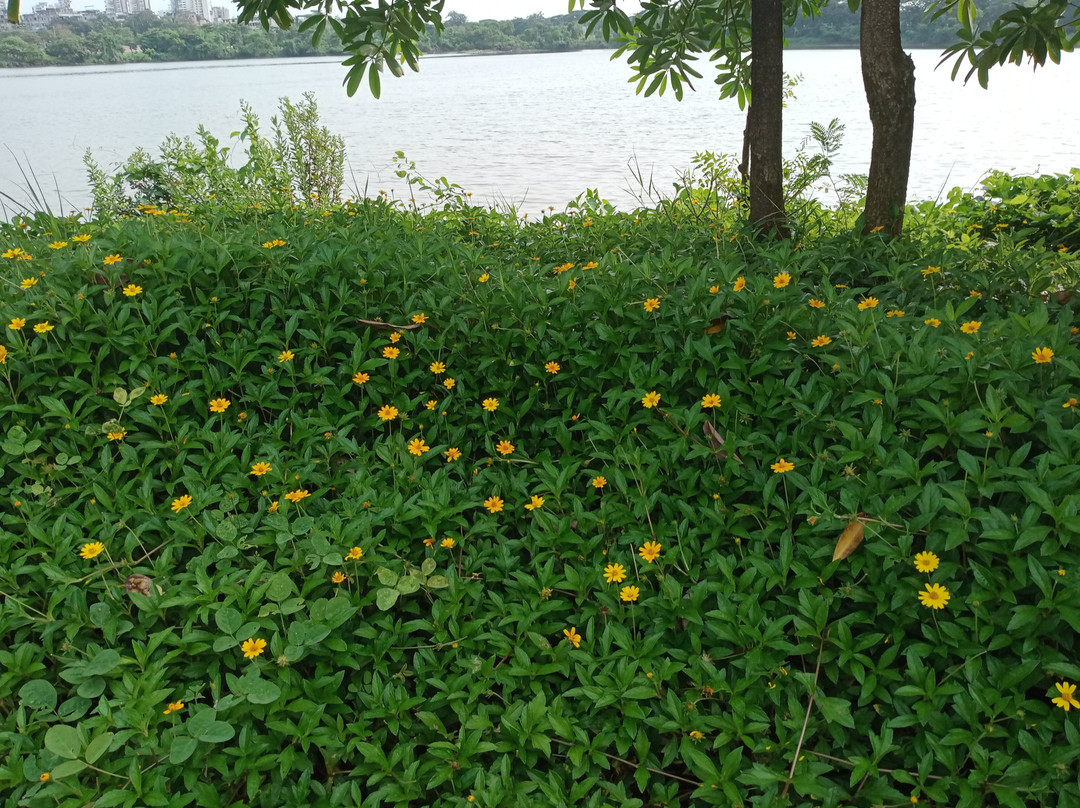 Nerul Lake景点图片