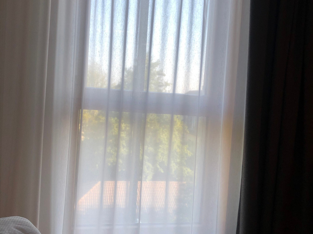 Green City Hotel Vauban主图