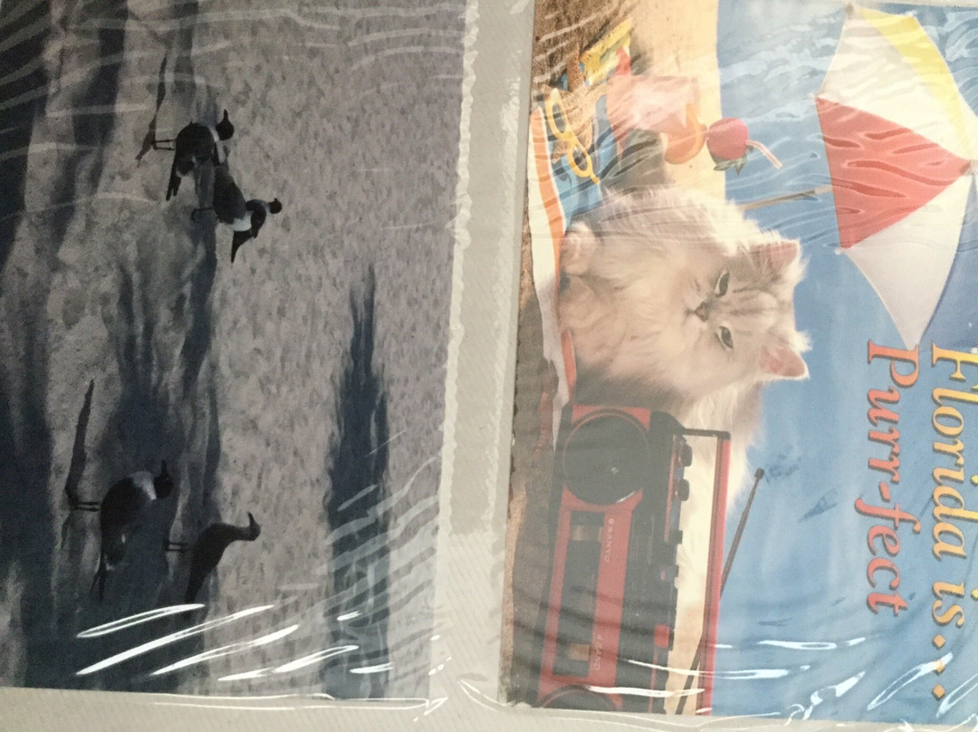 St. Nicholas VI Sponge Boat-塔彭斯普林斯必去景点