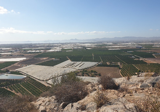 Escultura Virgen De Loreto