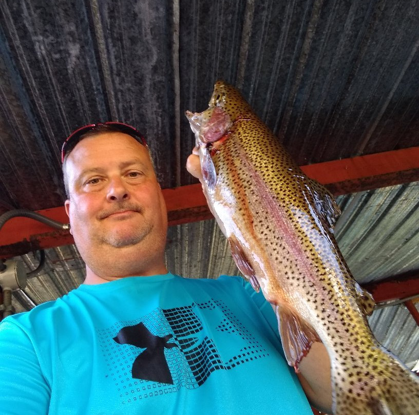 Ozark Trout Resort主图