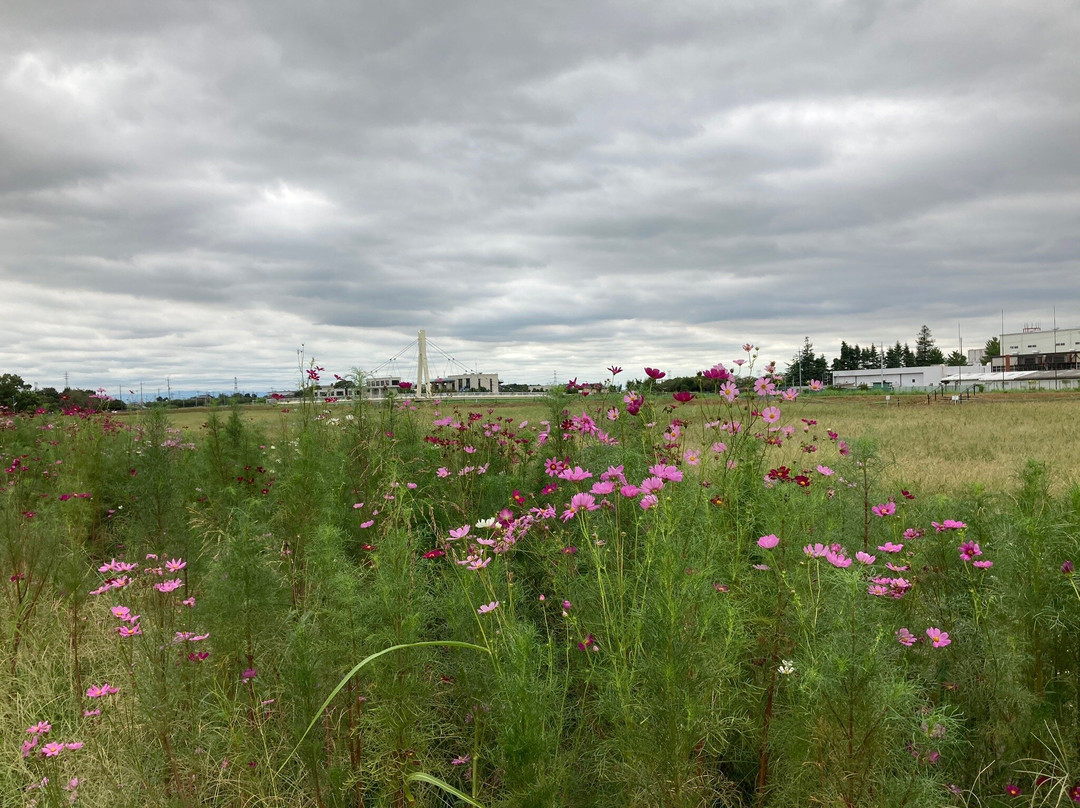 Kenei Gongendo Kouen-久喜市必去景点