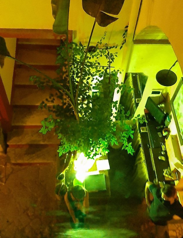 A Locanda Tu Marchese主图