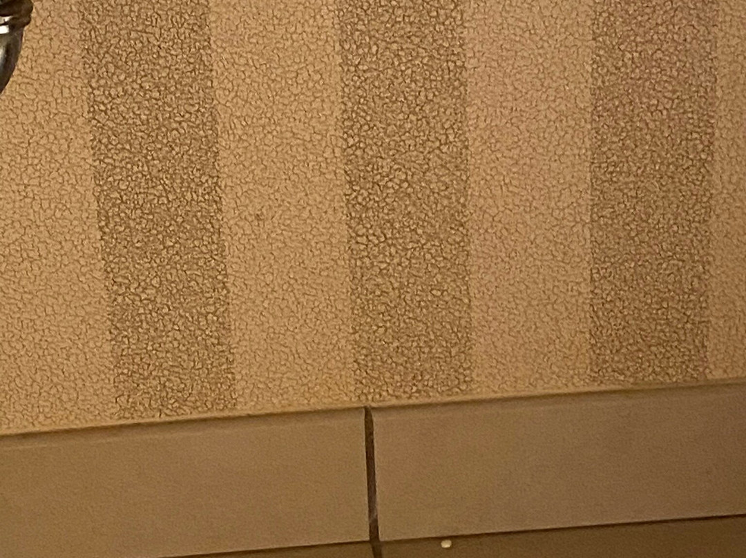 伯明翰罗斯桥高尔夫文艺复兴水疗度假酒店主图