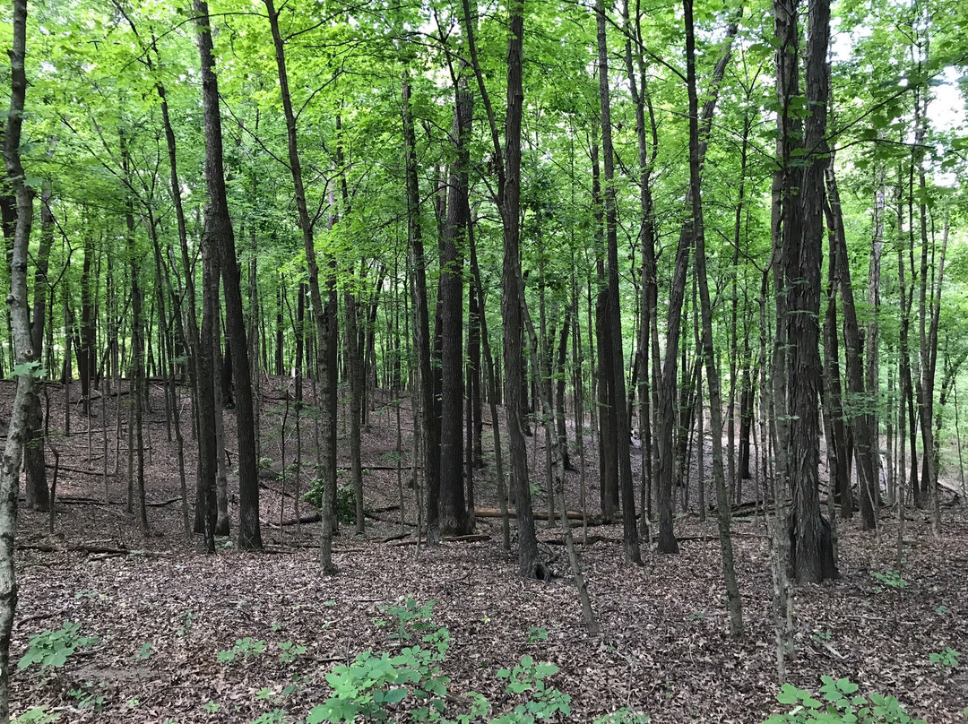 Fox Ridge State Park-Charleston必去景点