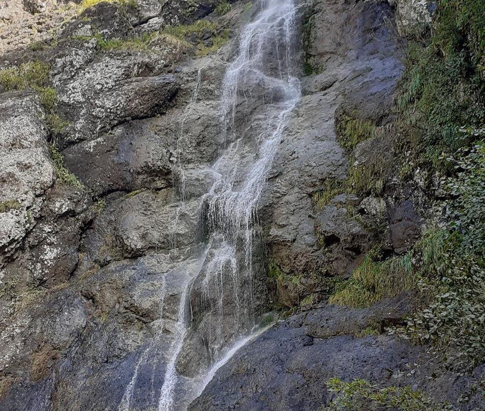 Escursione sul Sentiero Geologico alla Malga Prossliner景点图片