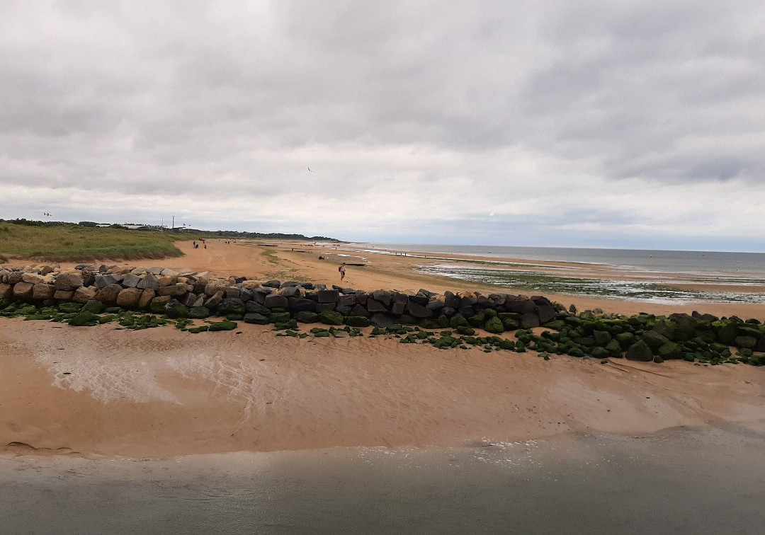 Plage de Courseulles Sur Mer景点图片