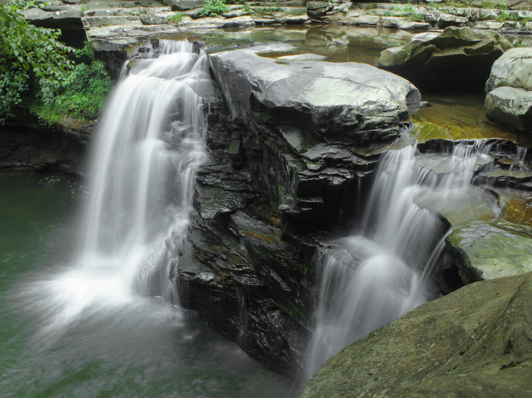 Hawks Nest Rail Trail-Ansted必去景点