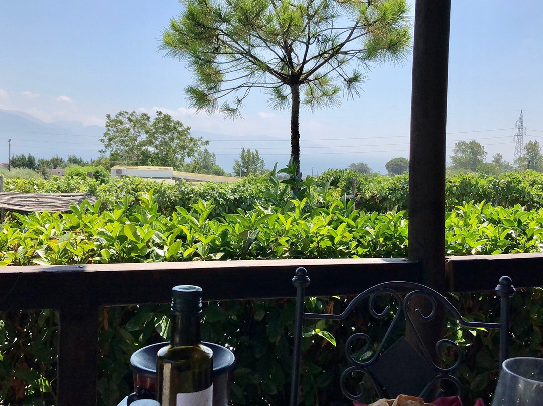 Blackbeard Limos-索伦托必去景点