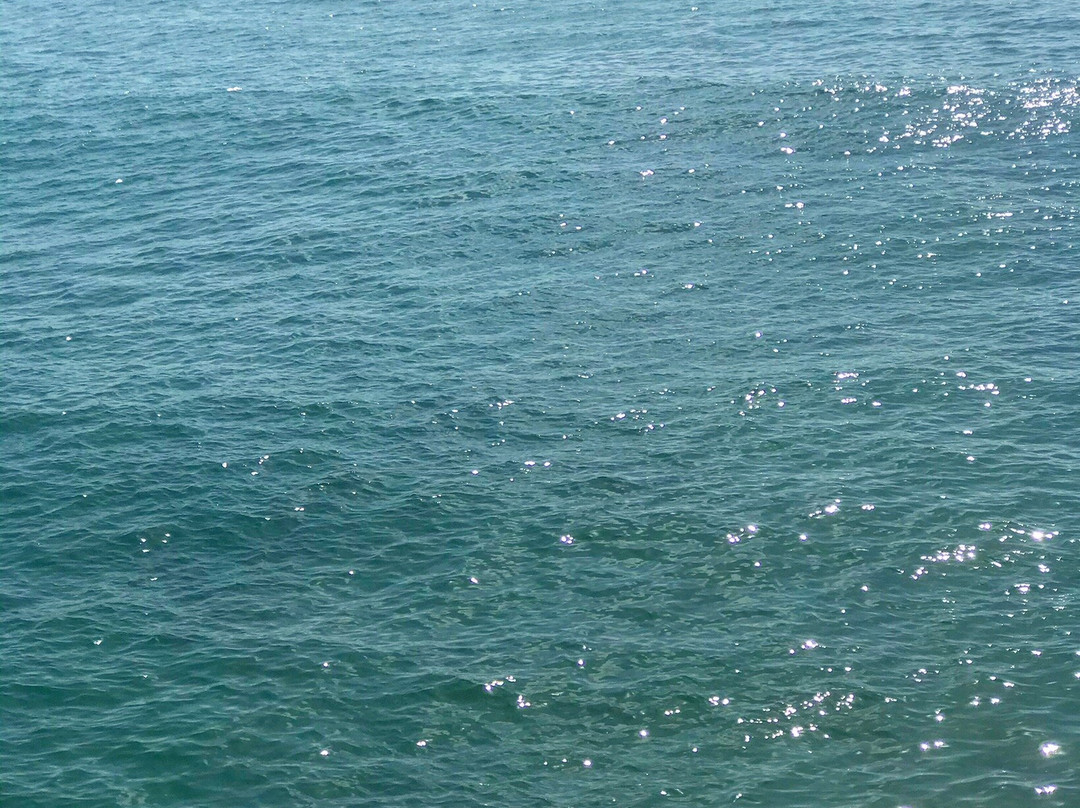 Plage de la Lagune景点图片
