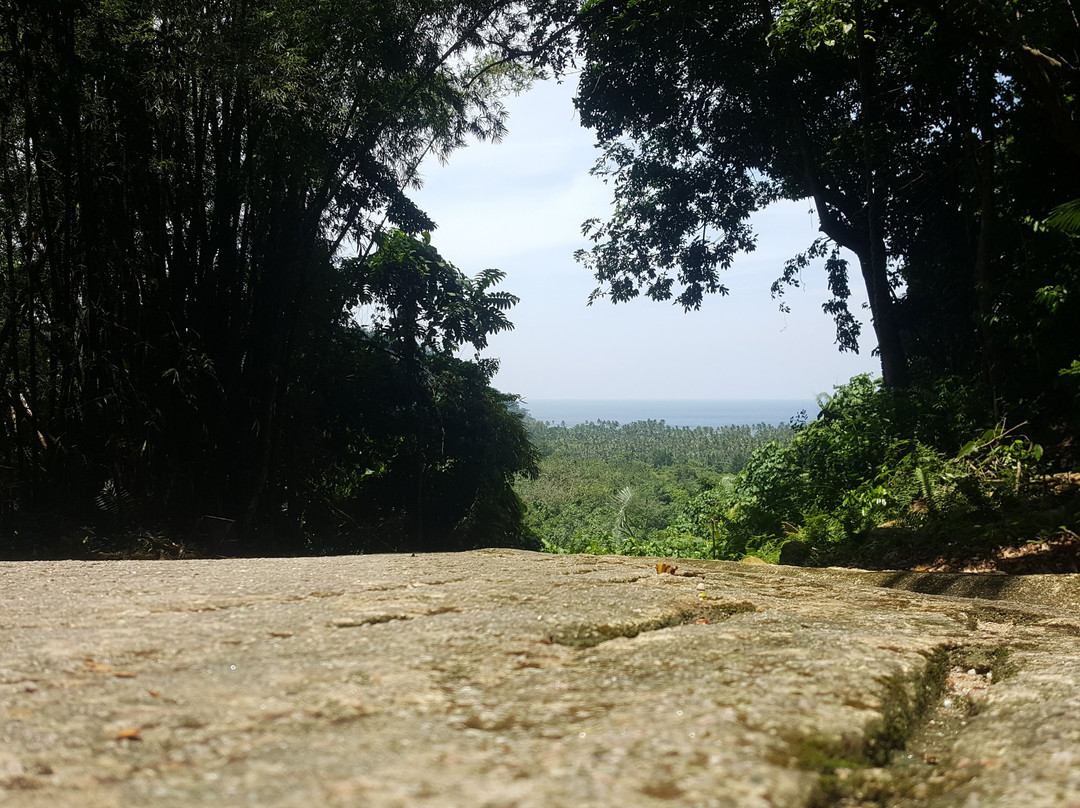 Ali's Waterfall-刁曼岛必去景点