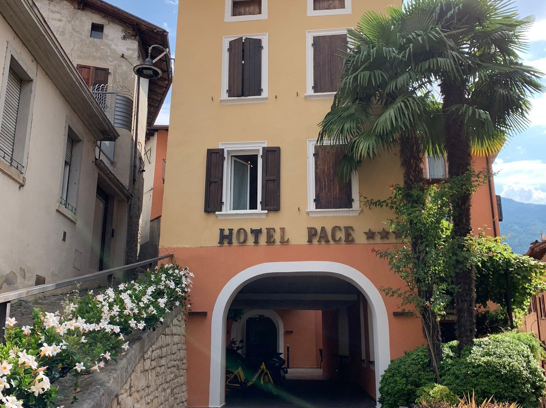 Pace 1954 Hotel主图