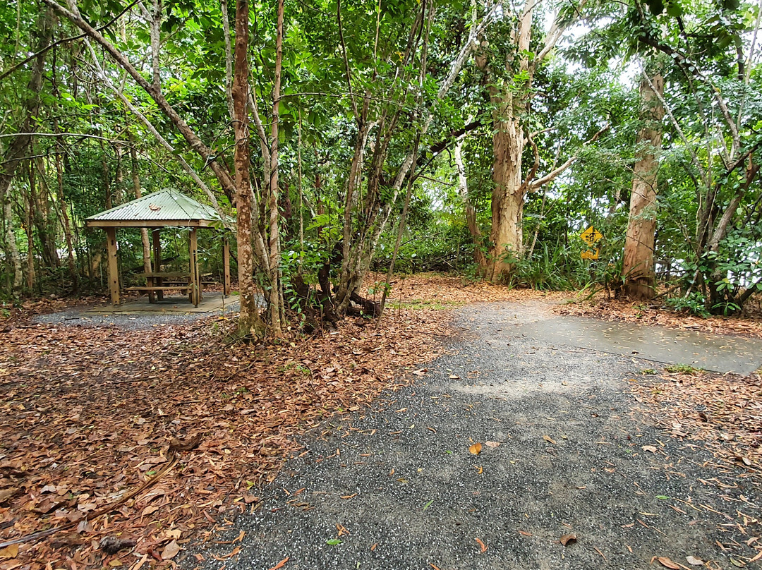 Thornton Beach-Thornton Beach必去景点