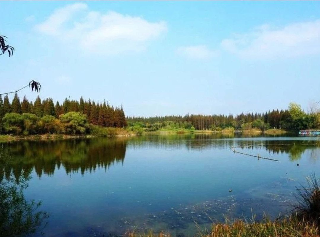 Relaxing and ecological experience in Chongming, Shanghai.-崇明县必去景点