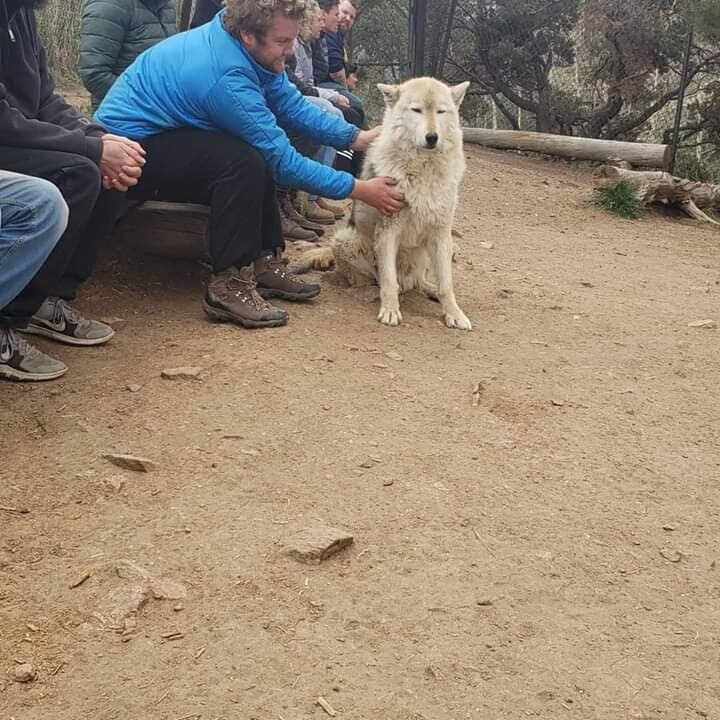 Mission: Wolf-Gardner必去景点