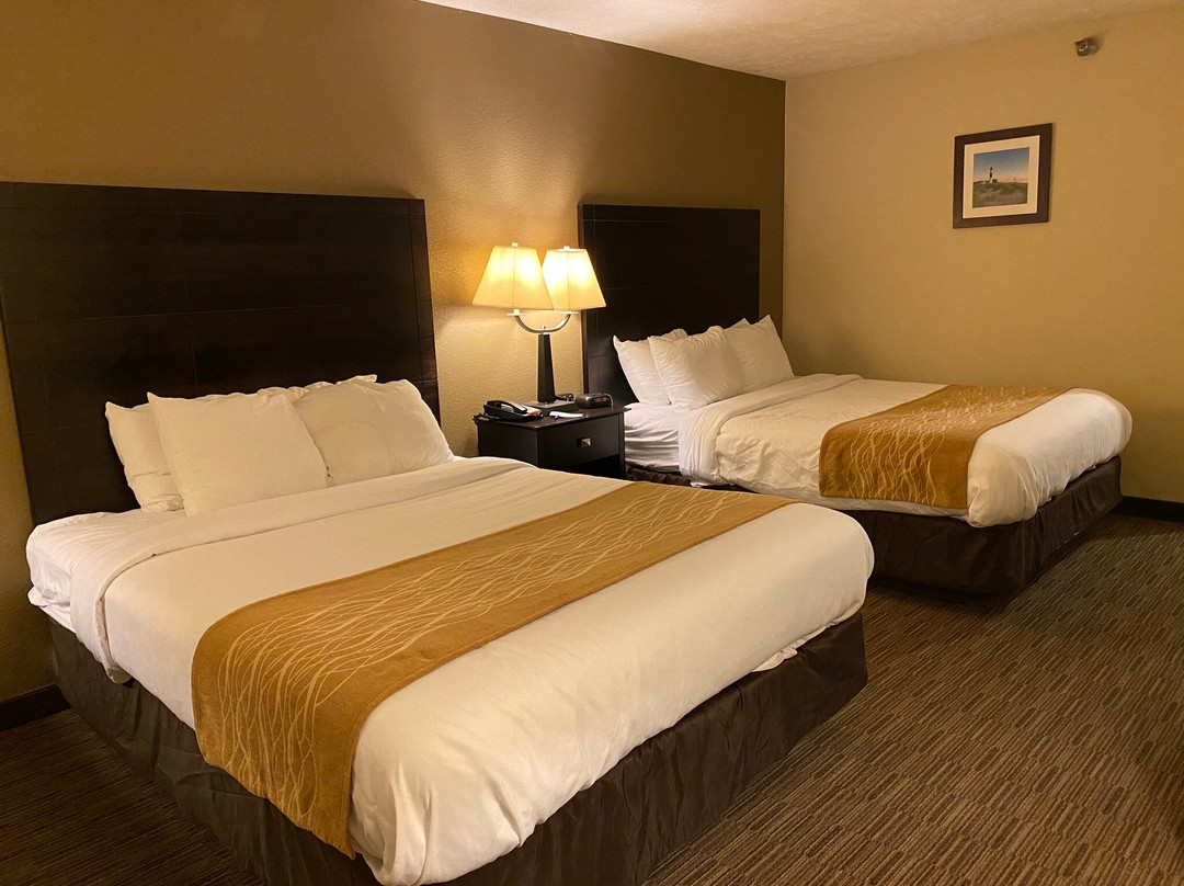 Comfort Inn Whitehall Near Michigan's Adventure主图