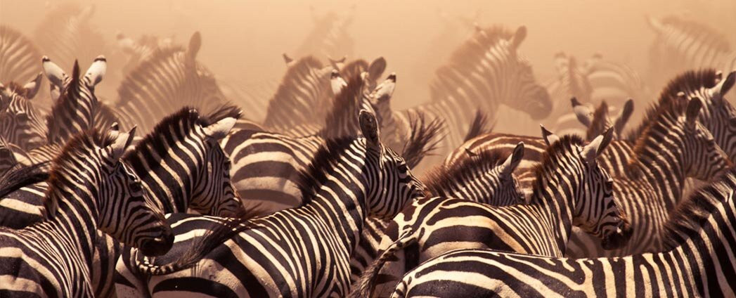 Infinity Holidays Tours & Safaris-Dar es Salaam必去景点