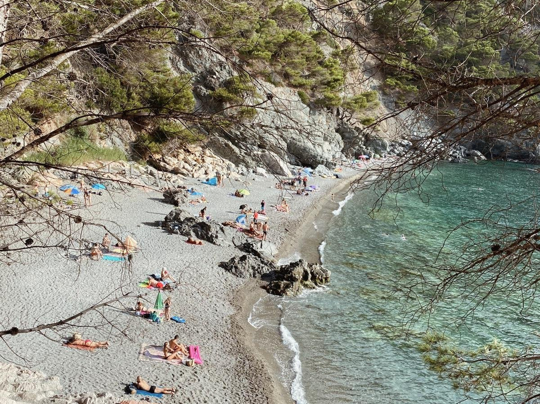 Playa Fonda景点图片