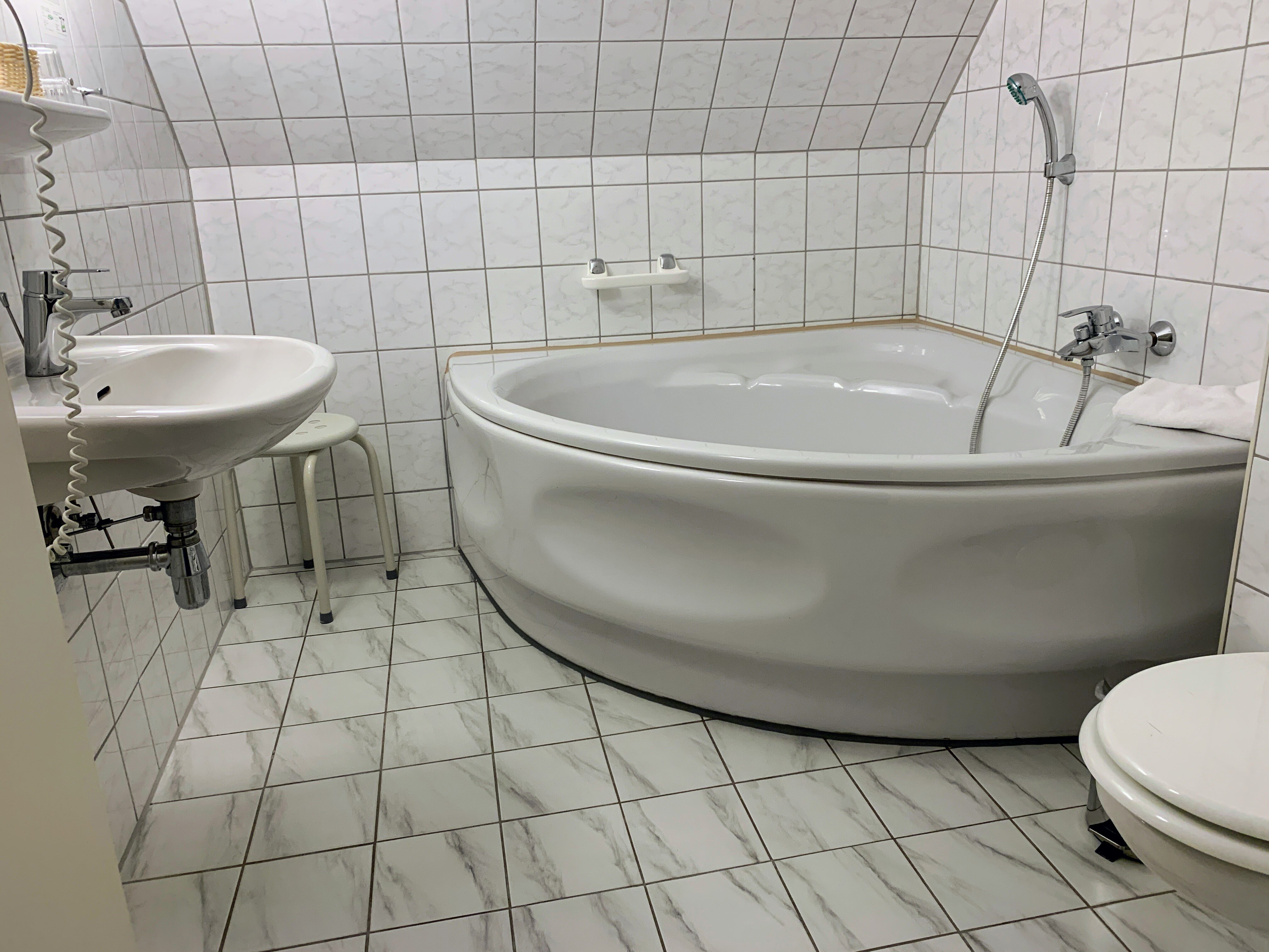 Parkhotel Woerlitz-浴室