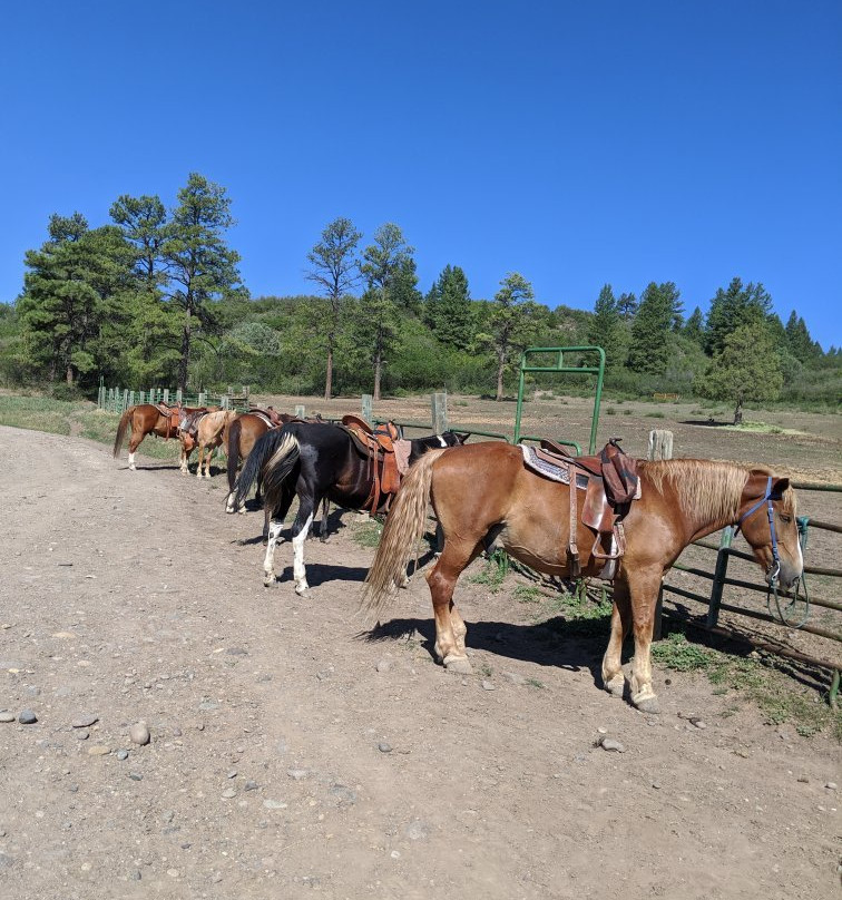 Astraddle A Saddle-帕戈萨斯普林斯必去景点