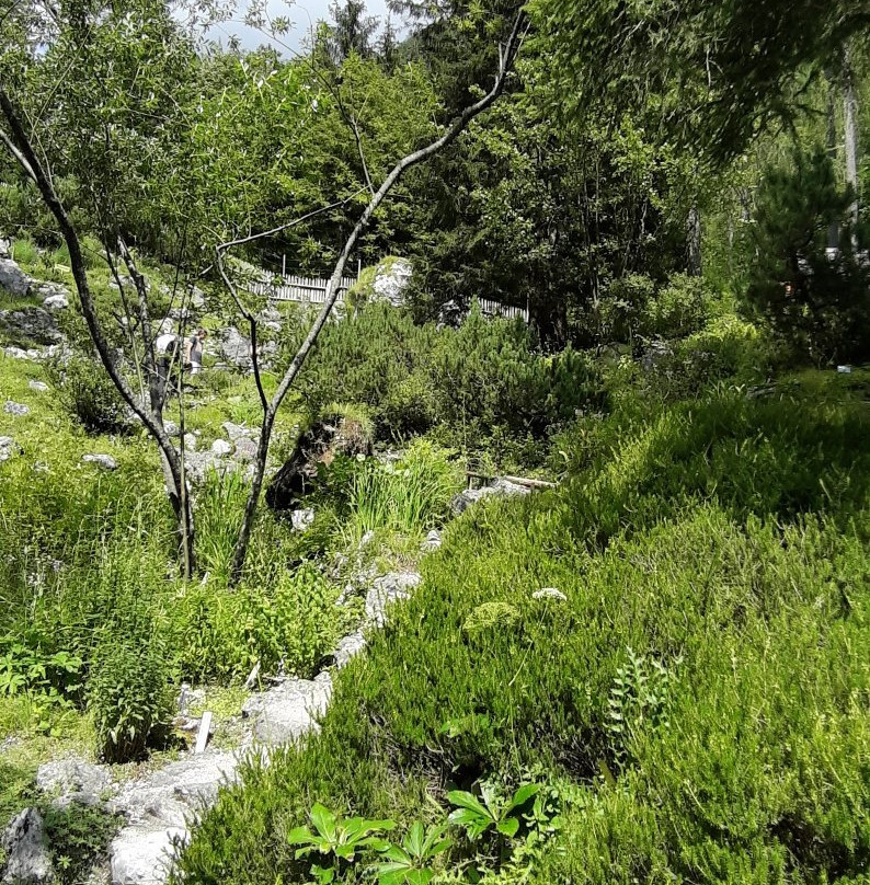 Alpine Botanical Garden Juliana景点图片