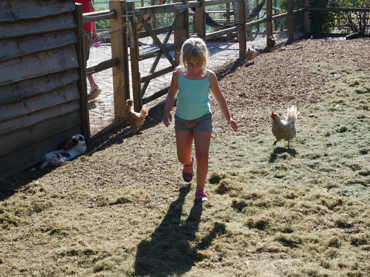 B&B De Worfthoeve主图