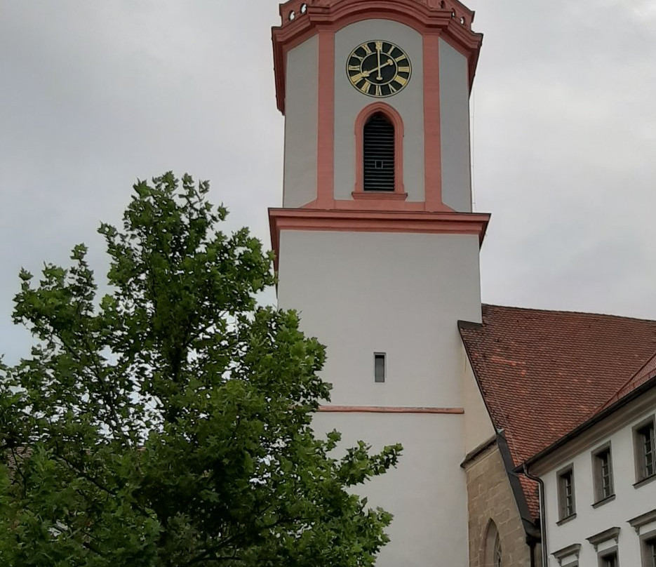 Spitalkirche mit Spitaltor景点图片