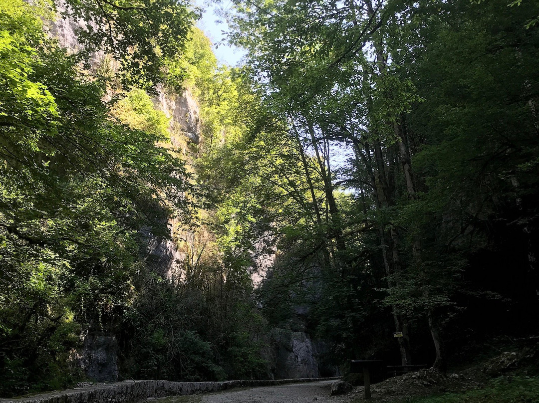 Site Historique des Grottes de Saint-Christophe景点图片