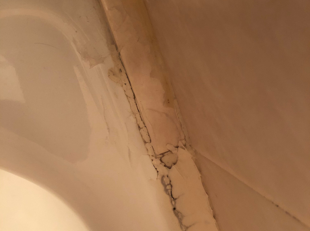 Harz Hotel Waldrausch主图