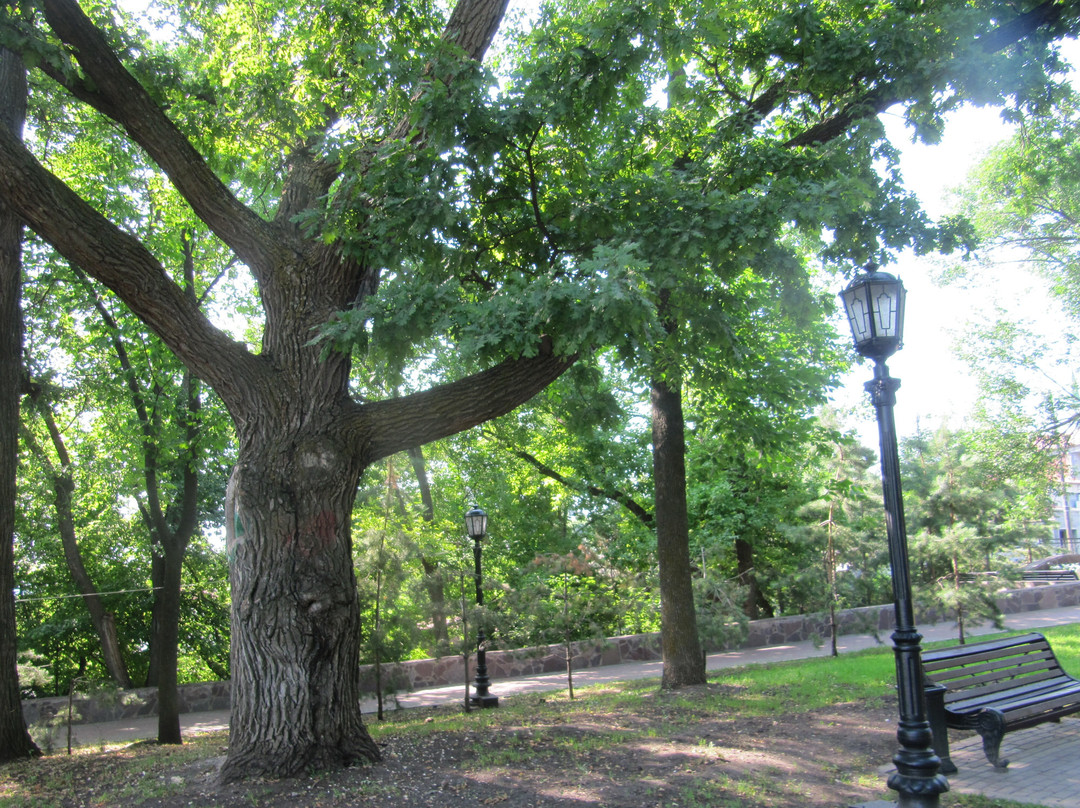 Culture and Recreation Garden of S. Yulaev-乌法必去景点