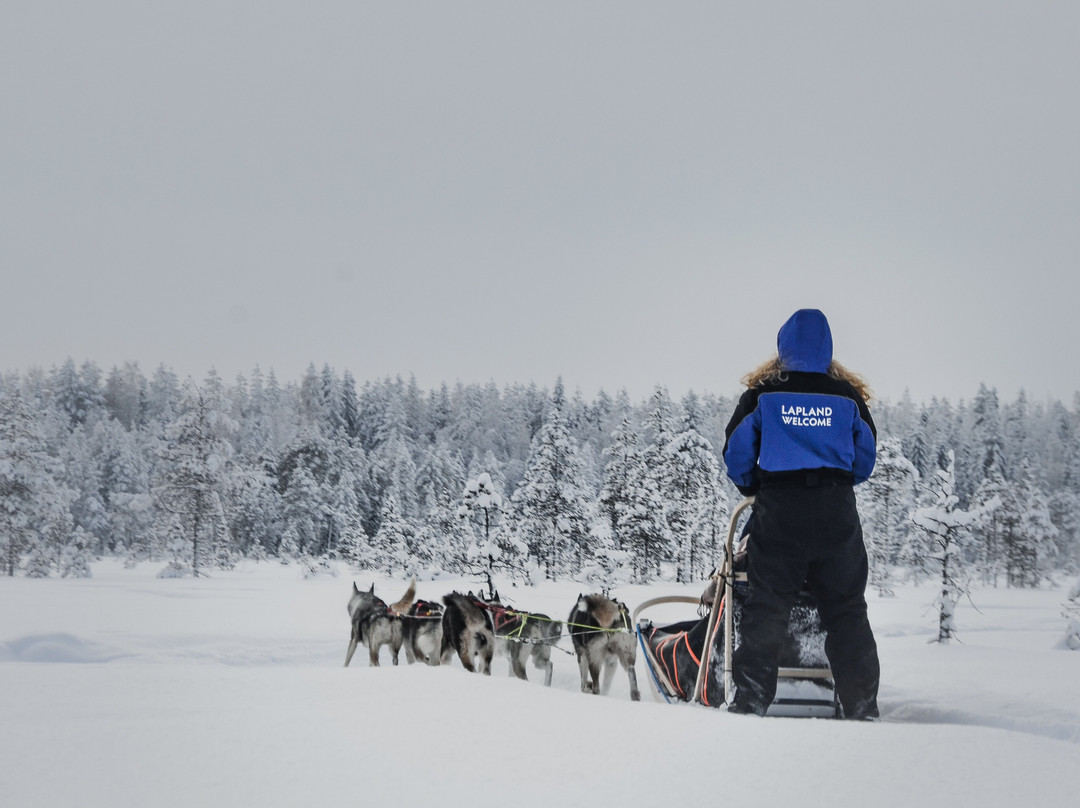 Tervola旅游攻略图片