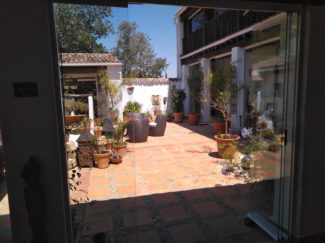 La Guzmana de Ronda主图