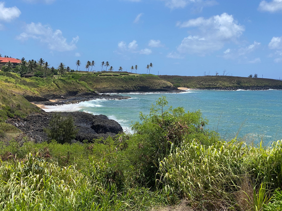 林木考艾海洋俱乐部住宅酒店主图