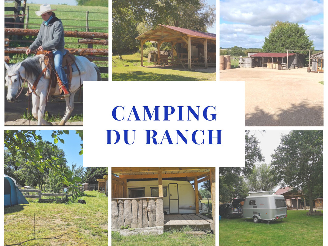 Country Pony Ranch景点图片