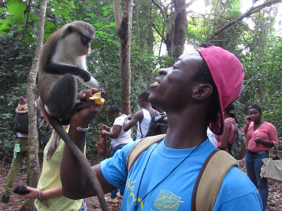 Tafi Atome Monkey Sanctuary And Cultural Village-Tafi Atome必去景点