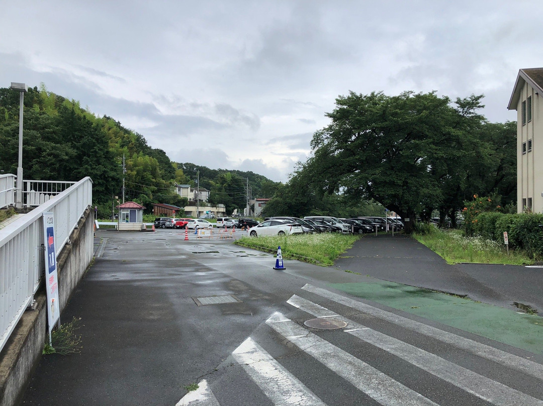 Kodomo-no-Kuni-横滨市必去景点