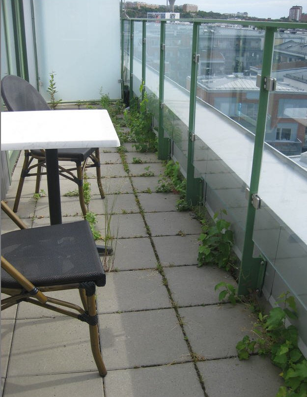 Biz Apartment Hammarby Sjostad主图