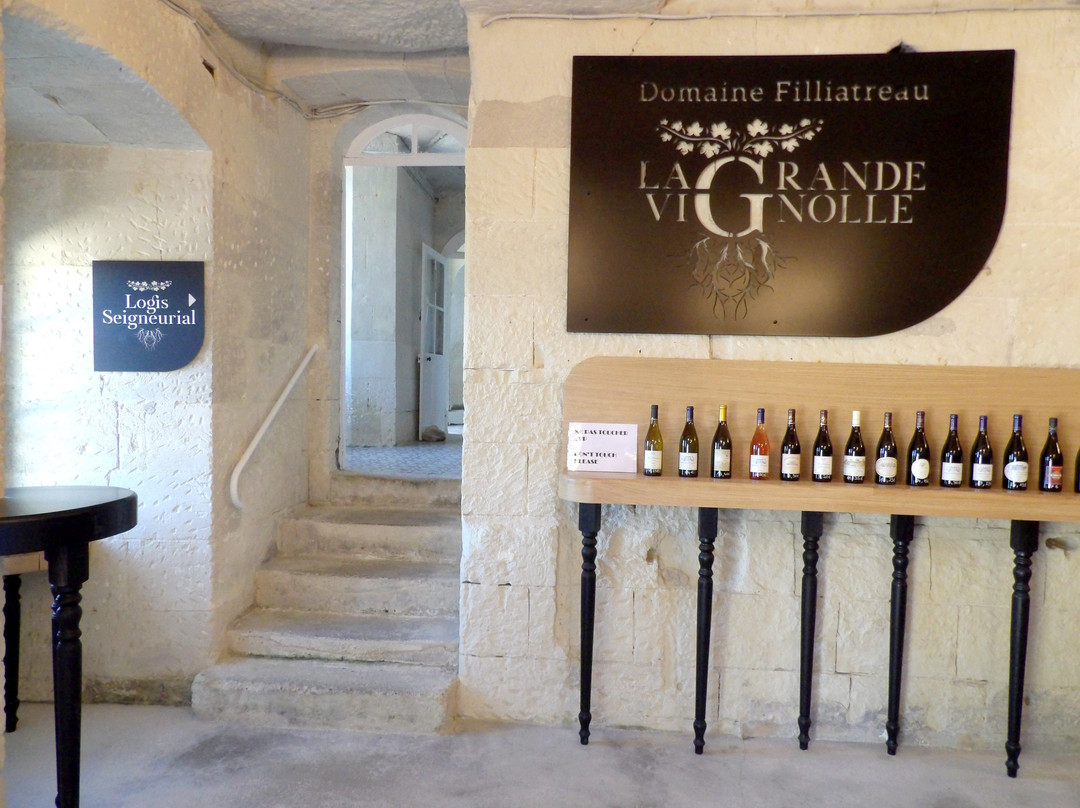 Domaine Filliatreau-Turquant必去景点