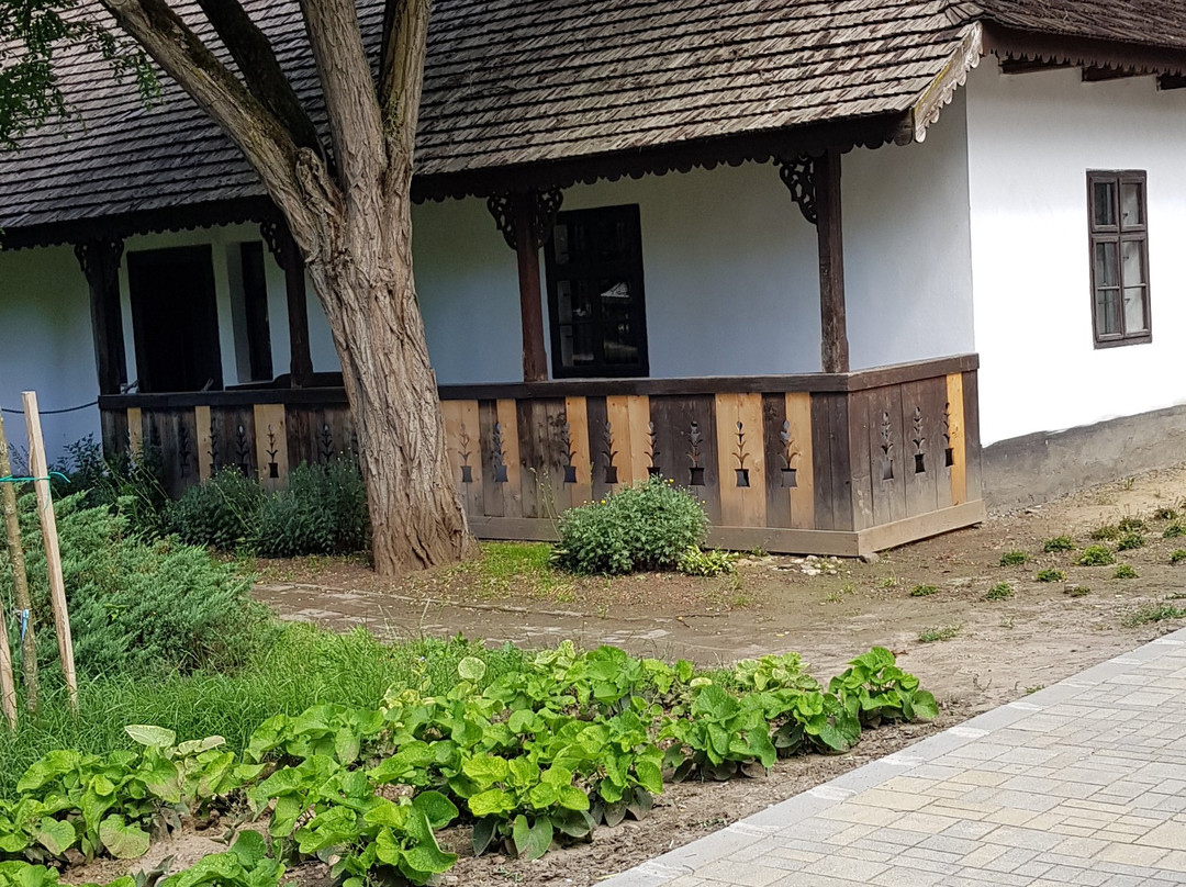 Sosto Museum Village-尼赖吉哈佐必去景点