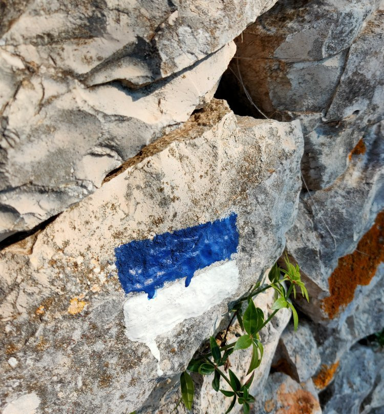 The Cypress Trail-菲斯卡尔宗必去景点