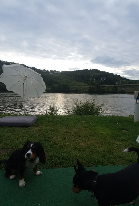 Mosel Camping Rissbach