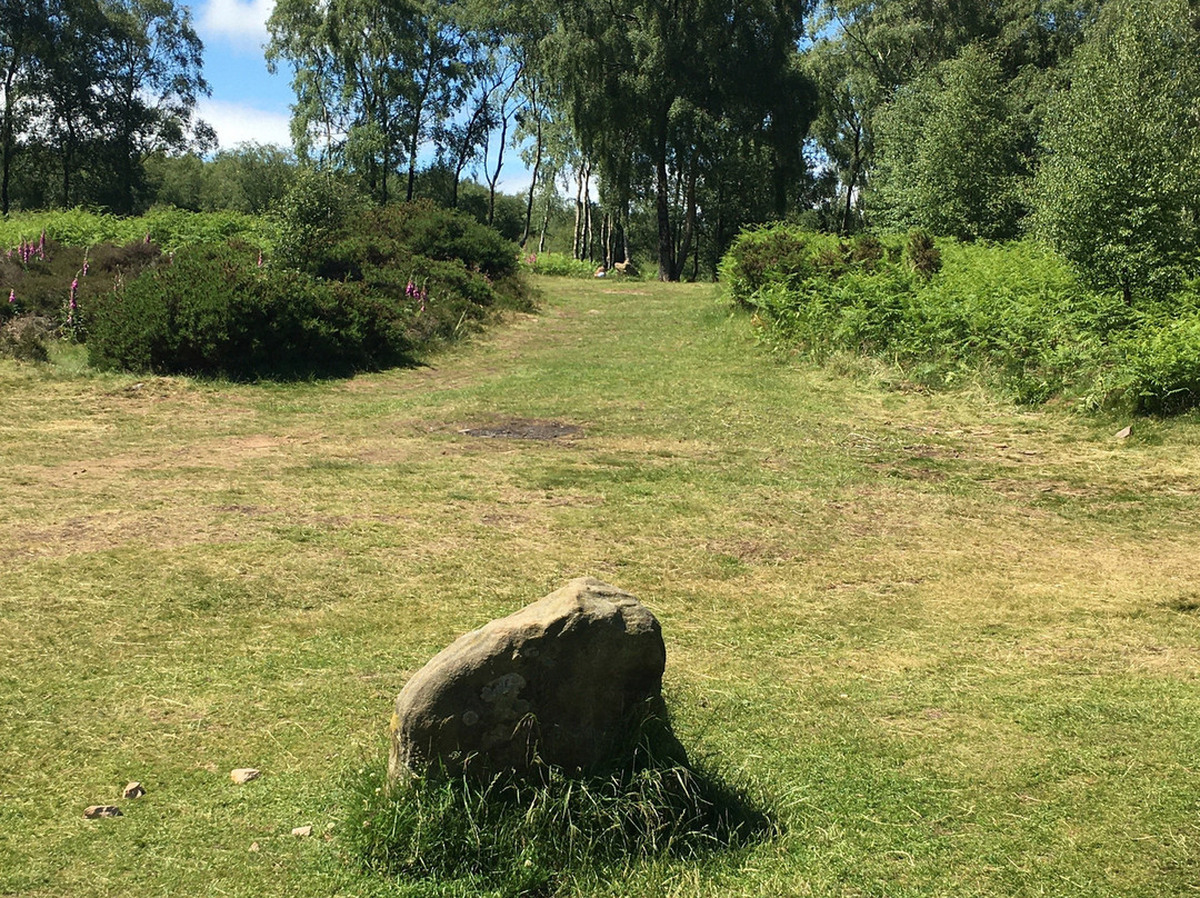 Nine Ladies Stone Circle-马特洛克必去景点