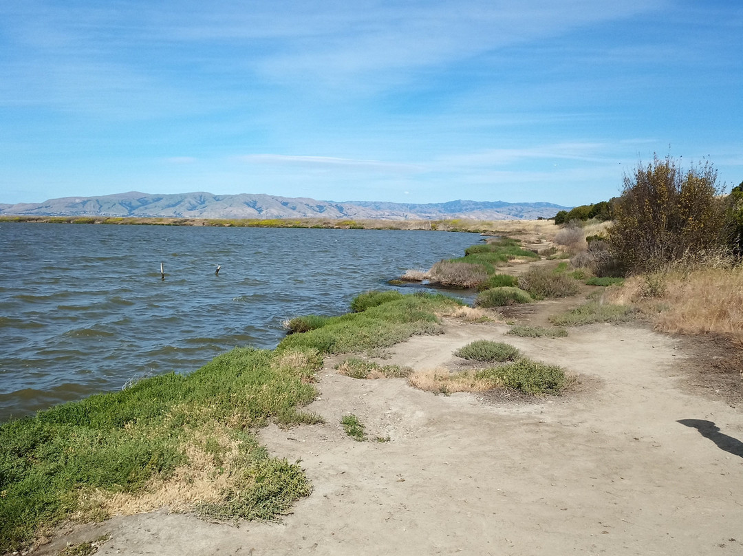 帕罗奥图海湾湿地自然保护区-帕罗奥多必去景点